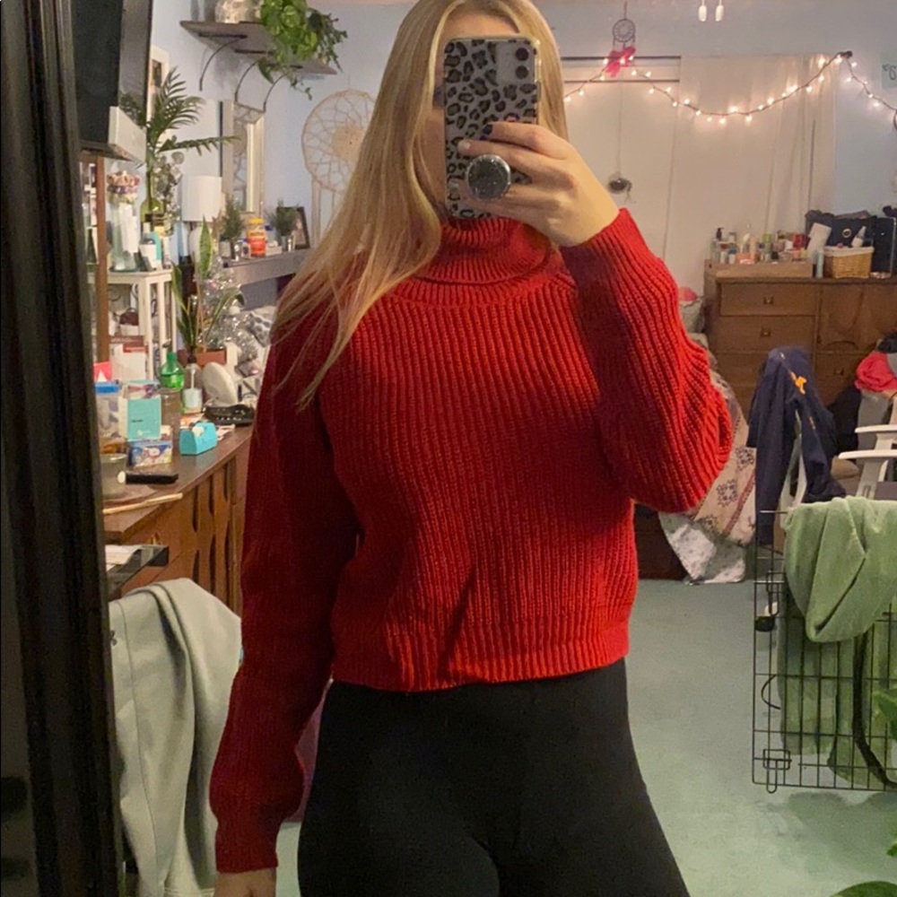 Cropped Shein Turtleneck